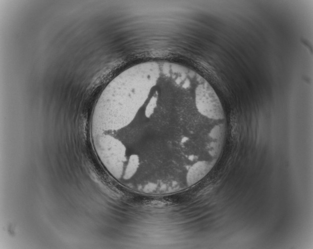 X0000102770542200809151042