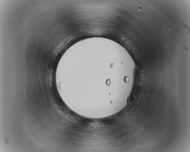 X0000102770544200809151042