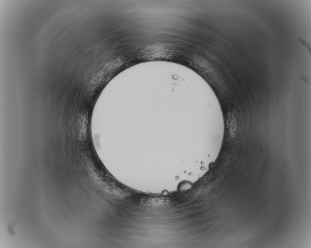 X0000102770546200809151042