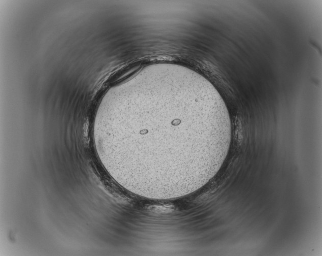 X0000102770548200809151042