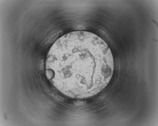 X0000102770549200809151042