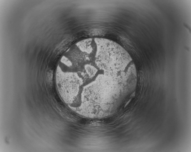 X0000102770550200809151042