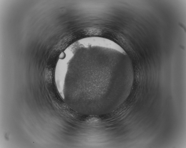 X0000102770551200809151042