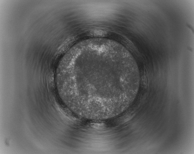 X0000102770552200809151042