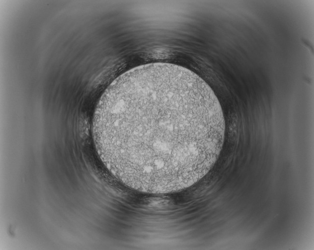 X0000102770555200809151042