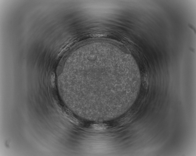 X0000102770556200809151042