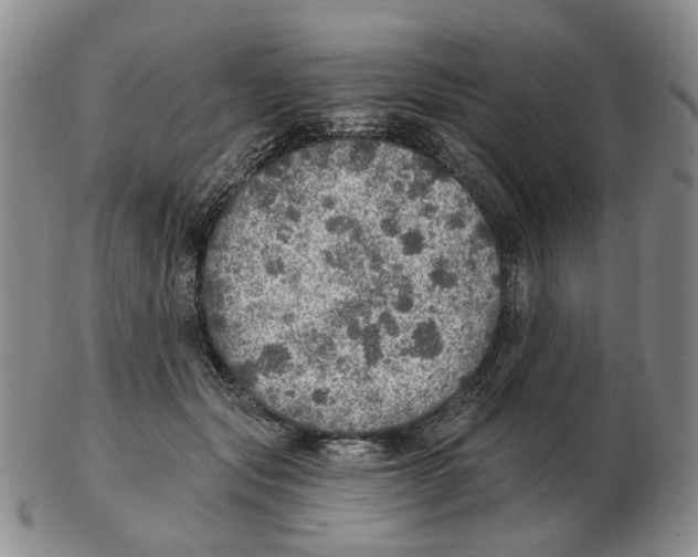 X0000102770557200809151042