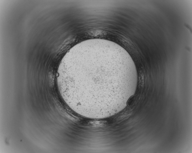 X0000102770558200809151042