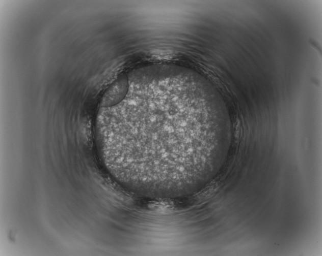 X0000102770559200809151042