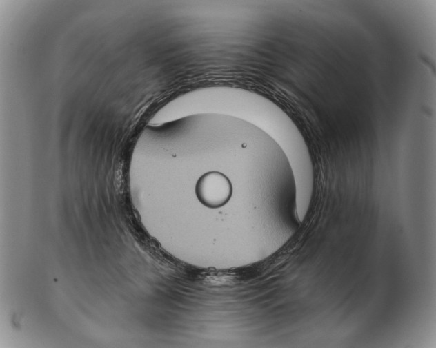 X0000102770560200809151042