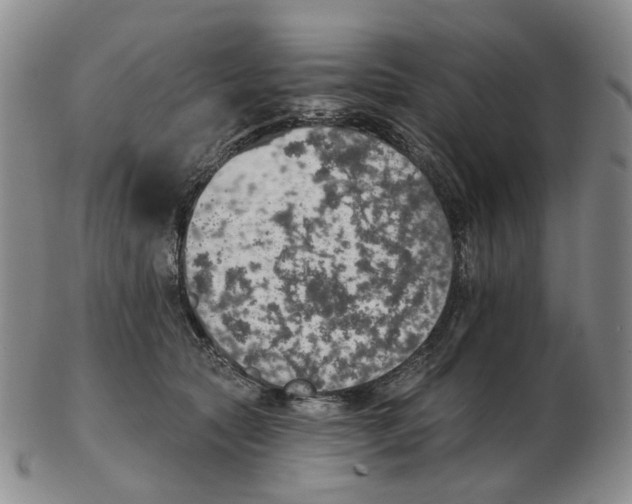 X0000102770561200809151042