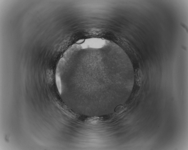 X0000102770563200809151042