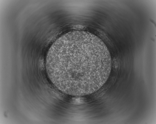 X0000102770564200809151042