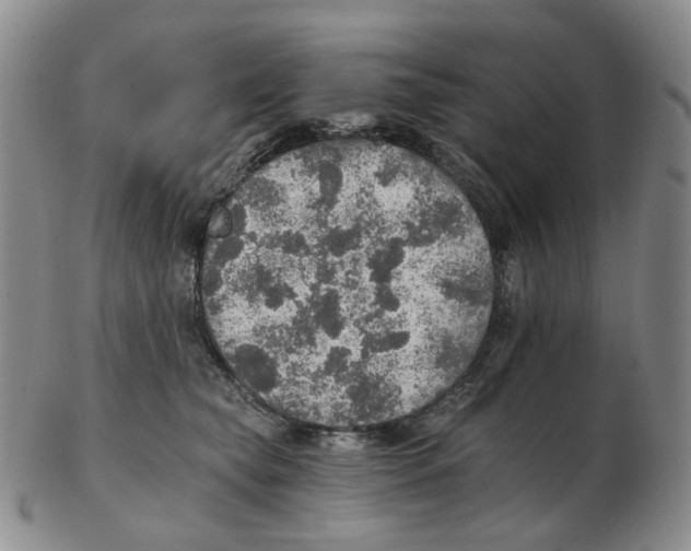 X0000102770565200809151042