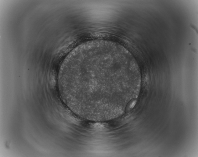 X0000102770566200809151042