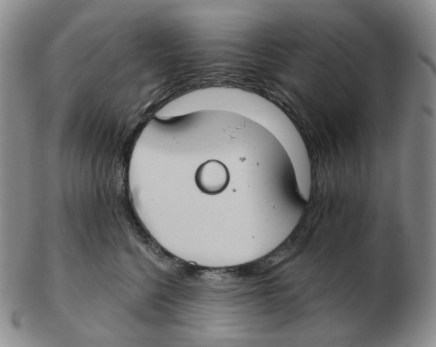 X0000102770568200809151042