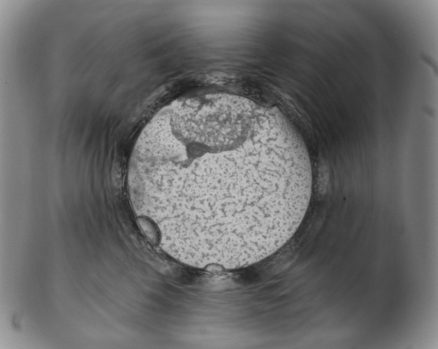 X0000102770569200809151042