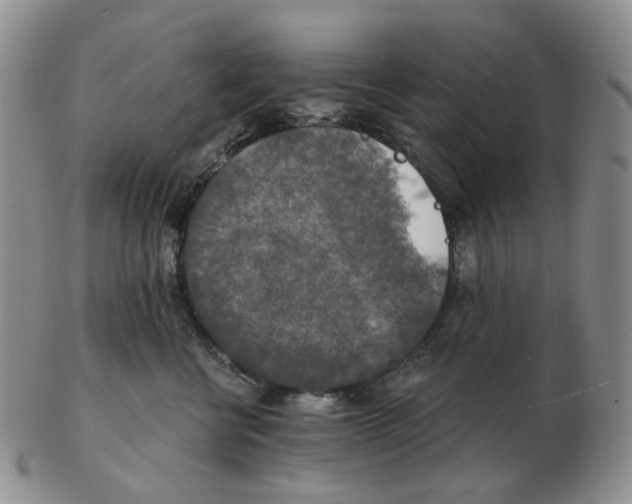 X0000102770570200809151042