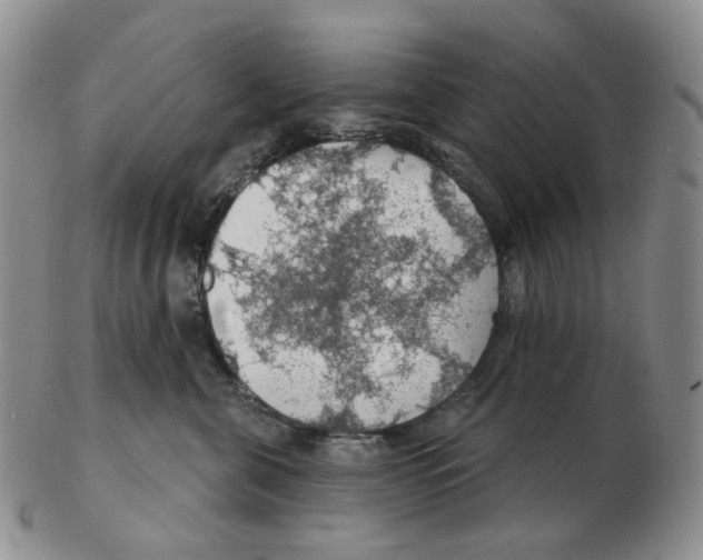 X0000102770571200809151042