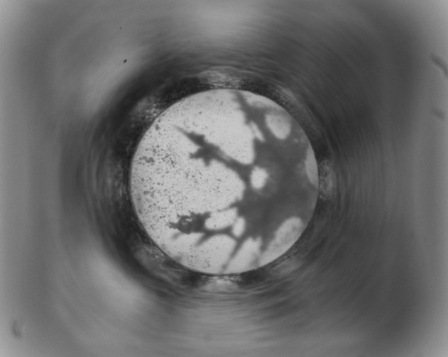 X0000102770573200809151042