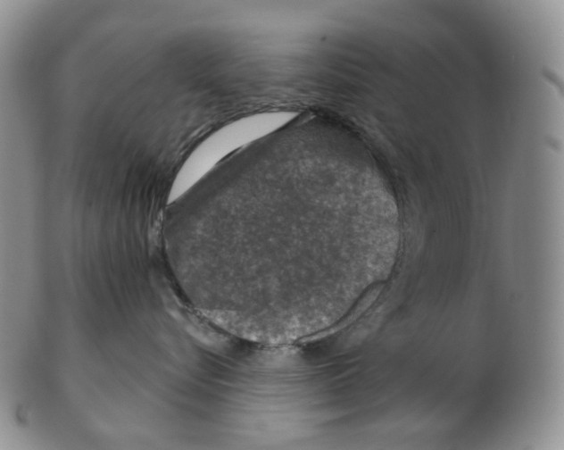 X0000102770576200809151042