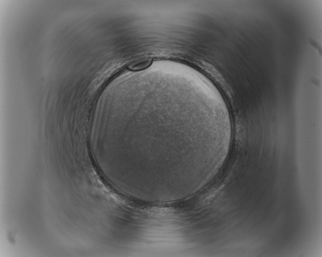 X0000102770577200809151042