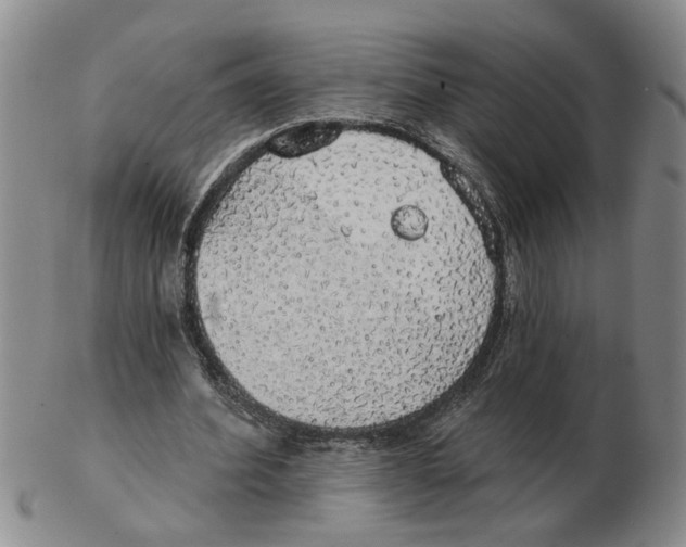 X0000102770580200809151042