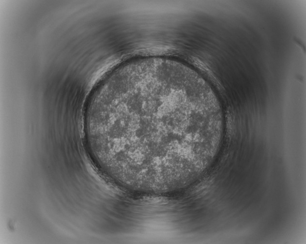 X0000102770582200809151042