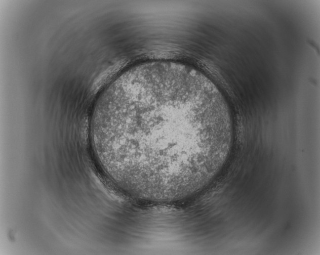 X0000102770586200809151041