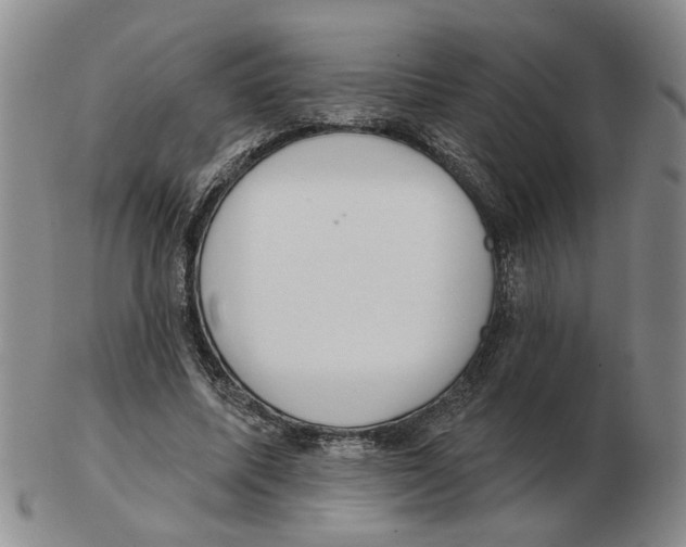 X0000102770587200809151041