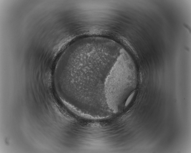 X0000102770588200809151041