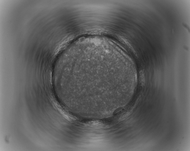 X0000102770589200809151041