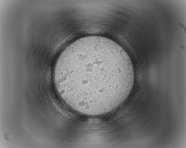 X0000102770591200809151041