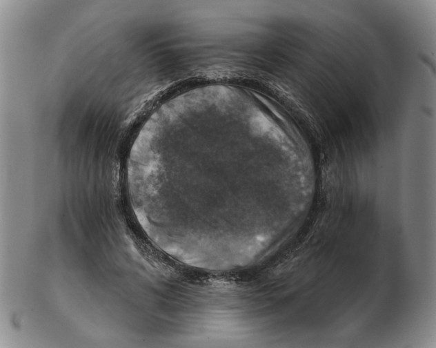 X0000102770592200809151041