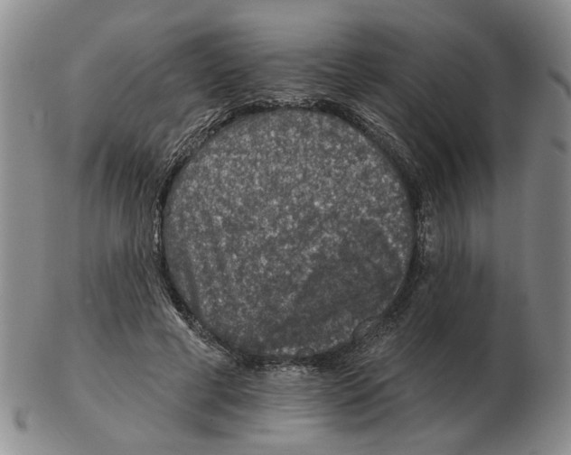 X0000102770593200809151041