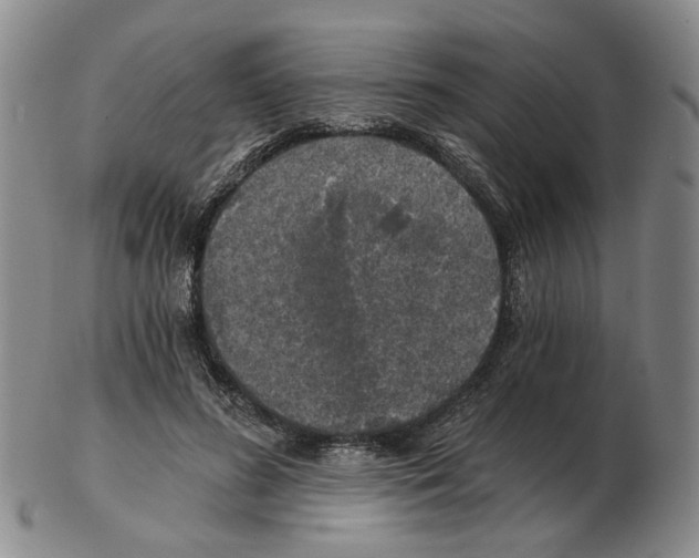 X0000102770596200809151041