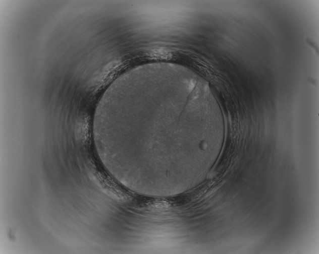 X0000102770600200809151041