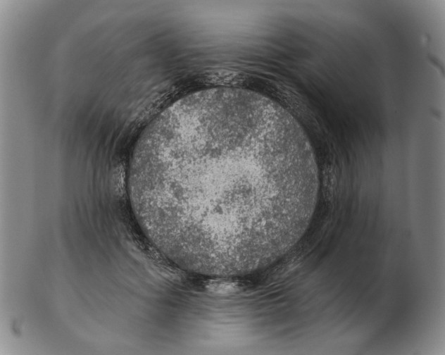 X0000102770602200809151041