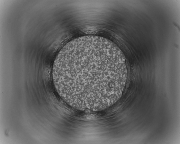 X0000102770604200809151041