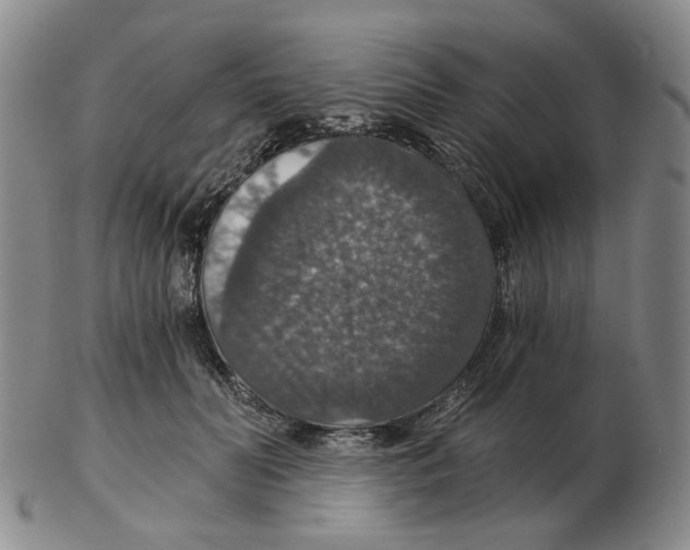 X0000102770606200809151041