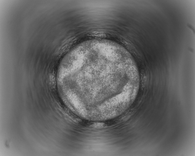 X0000102770609200809151041