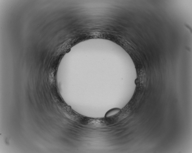 X0000102770611200809151041