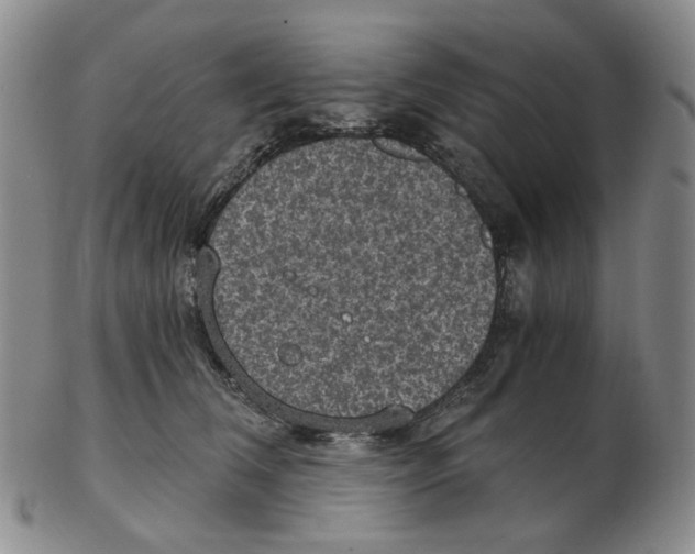 X0000102770612200809151041