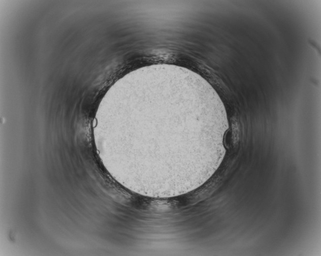 X0000102770613200809151041