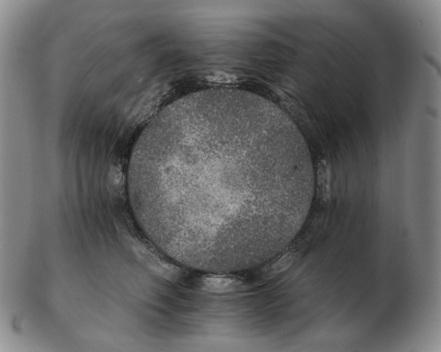 X0000102770614200809151041