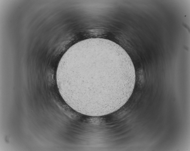 X0000102770615200809151041