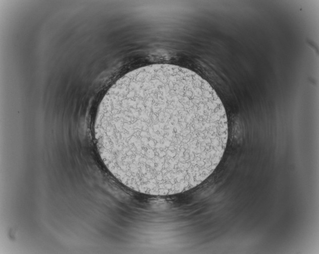 X0000102770616200809151041