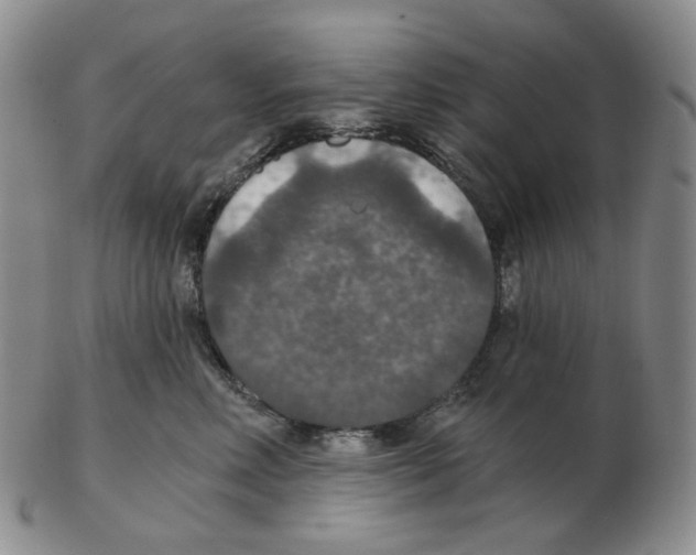 X0000102770618200809151041