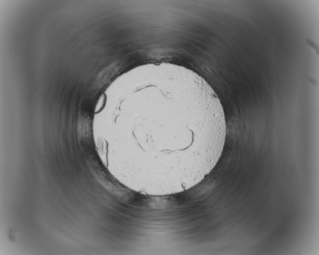 X0000102770623200809151041