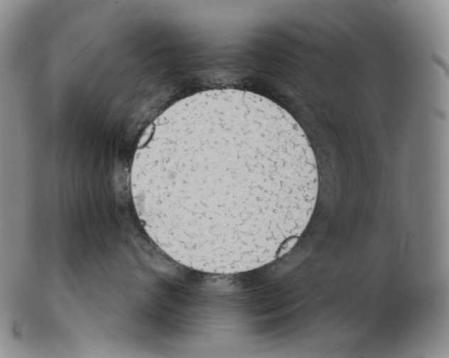 X0000102770624200809151041